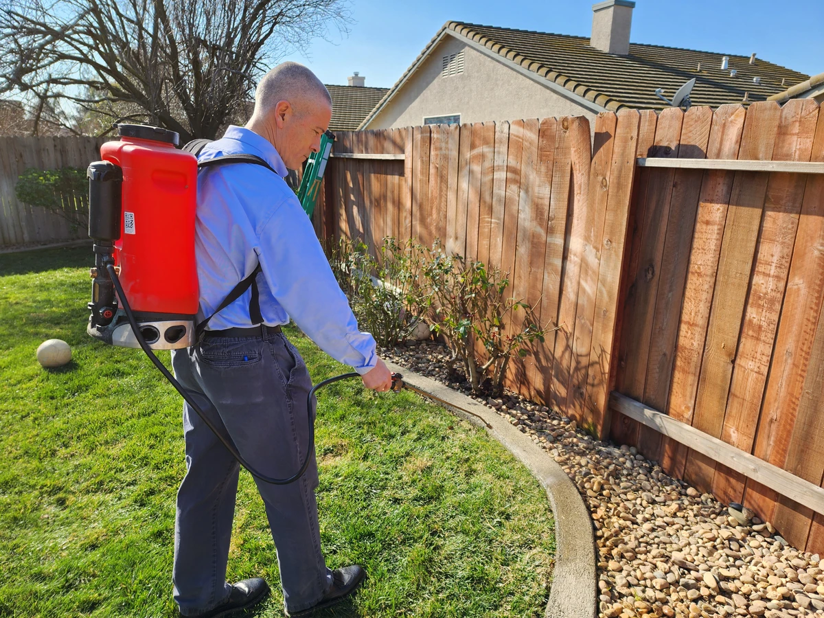 mosquito-treatment-dfw