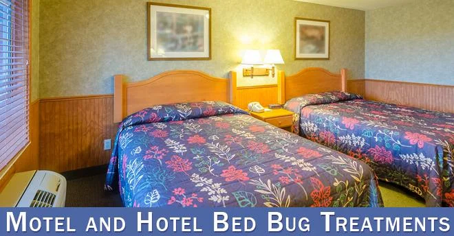 pest prevention bed bugs hotel motel bed and breakfast.webp