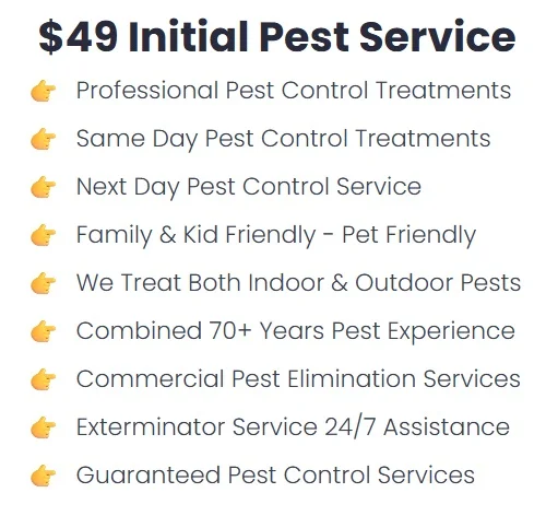 why try prize pest control.webp