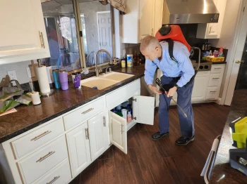 pest control inspection process.webp