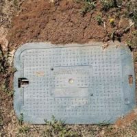 Photo of Comprehensive Ant Prevention Strategies by Prize Pest Control
