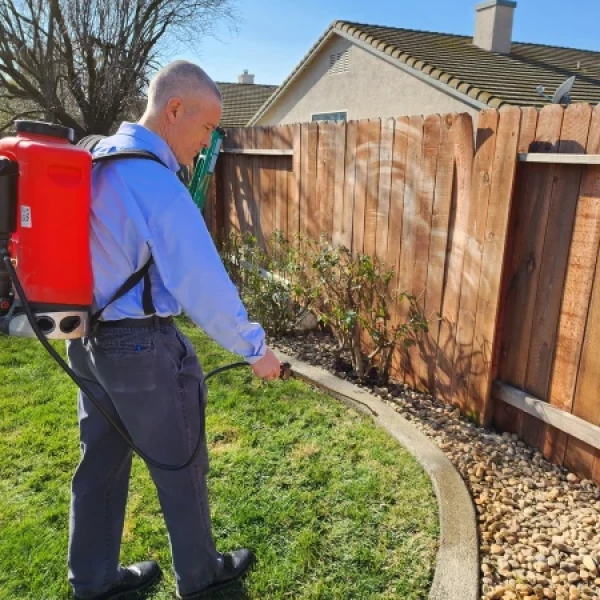 Mosquito Control Services in Dallas–Fort Worth, TX